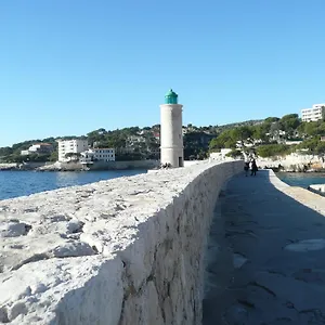 Le Camelia Cassis